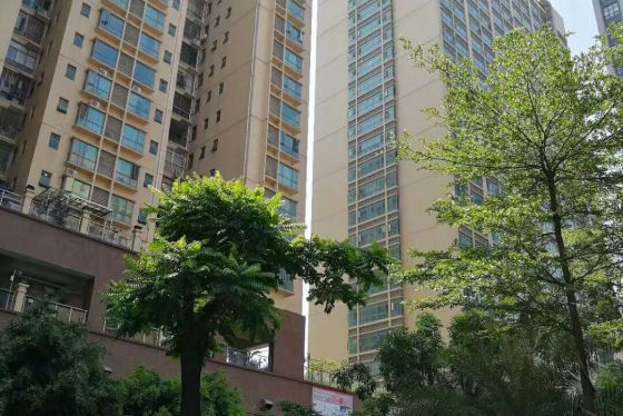 深圳小产权房 深圳小产权房