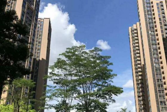 深圳小产权房 深圳小产权房