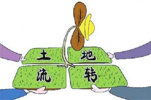 小产权房 小产权房