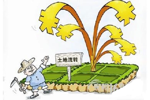 小产权房 小产权房