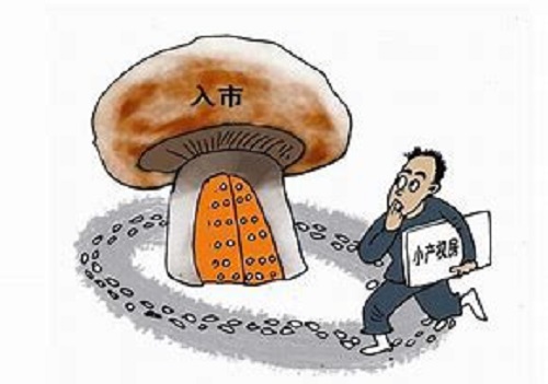 小产权房 小产权房