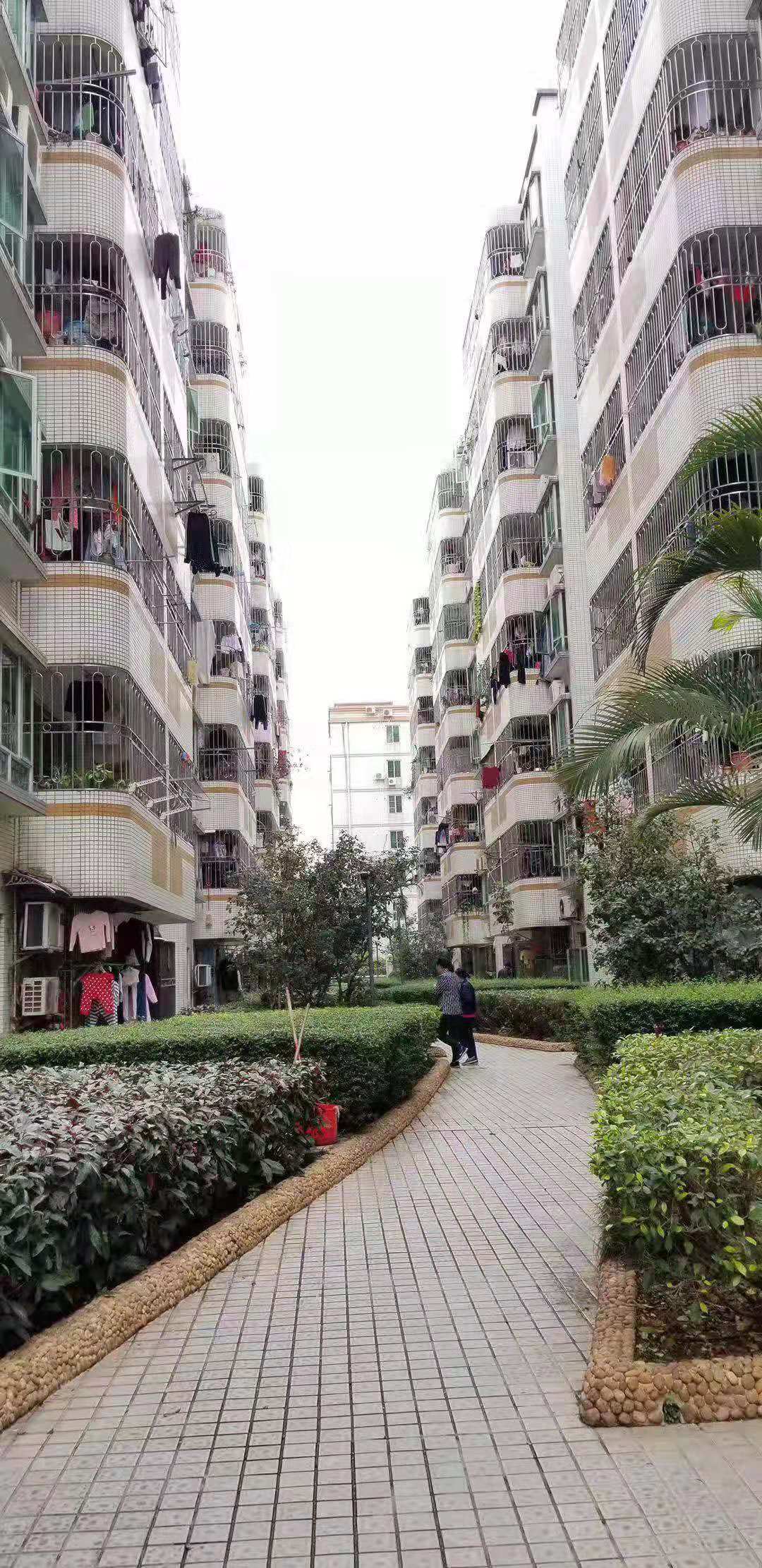 深圳北村委统建楼《民乐花园》